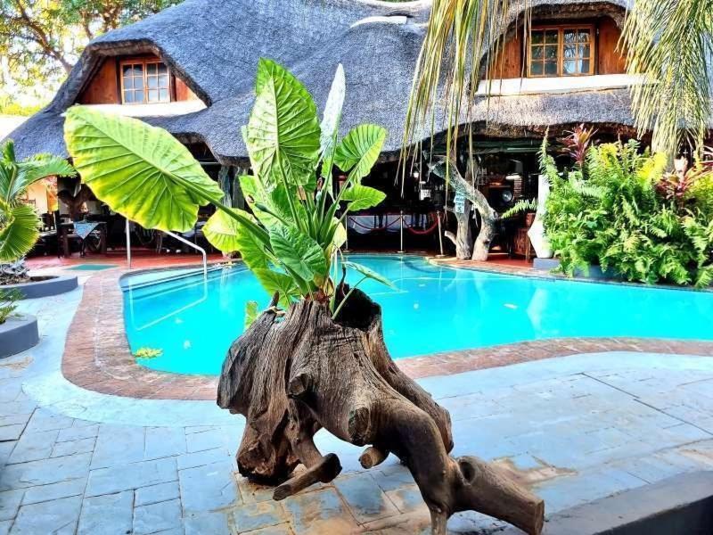 Dei Gratia Guest House Мусина Экстерьер фото